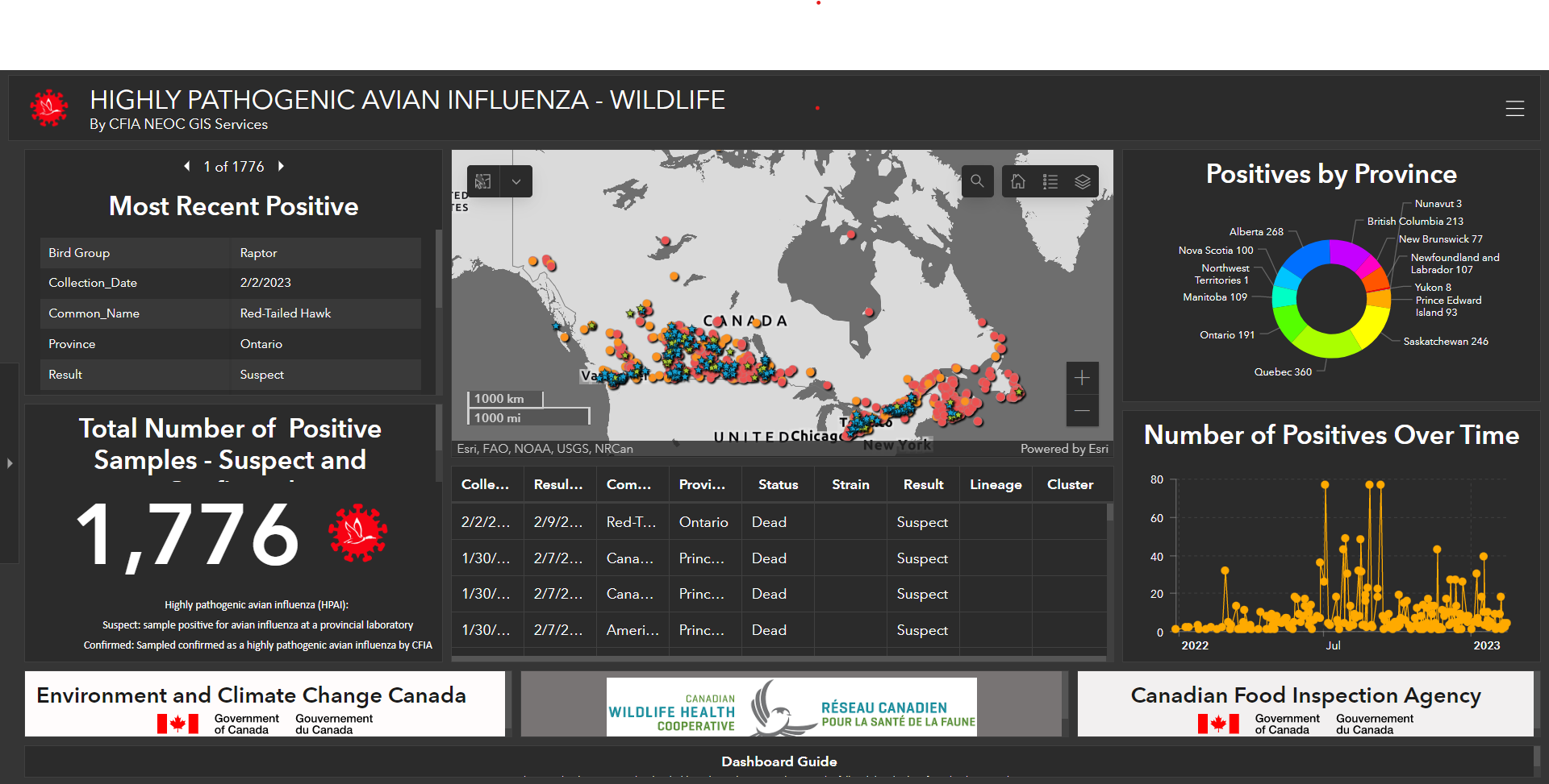 Bird Radar Image